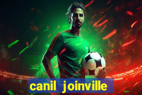 canil joinville vila nova